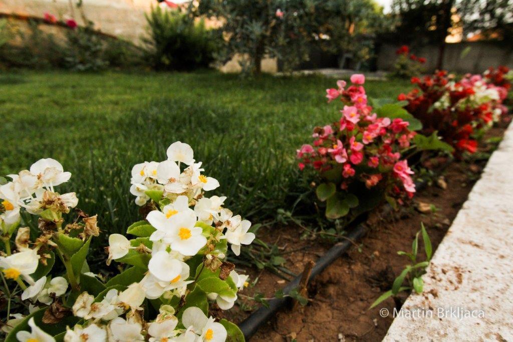 Apartament Jukic سفيتي فيليب ياكوف المظهر الخارجي الصورة